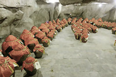 打進濟南府，活捉王耀武